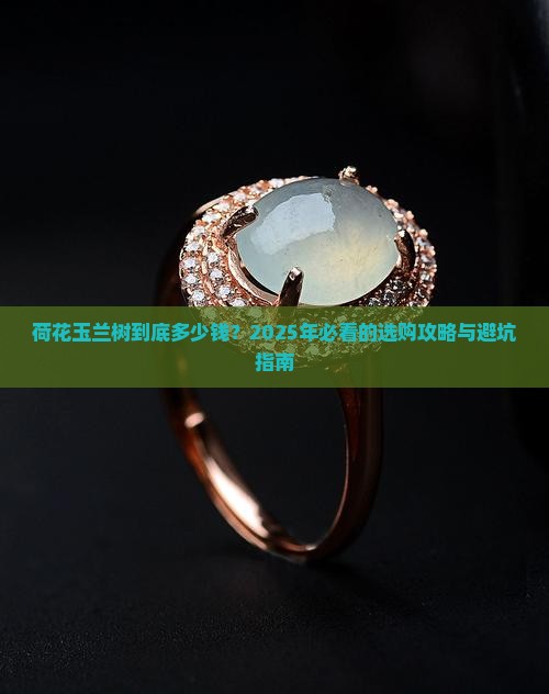 荷花玉兰树什么价格