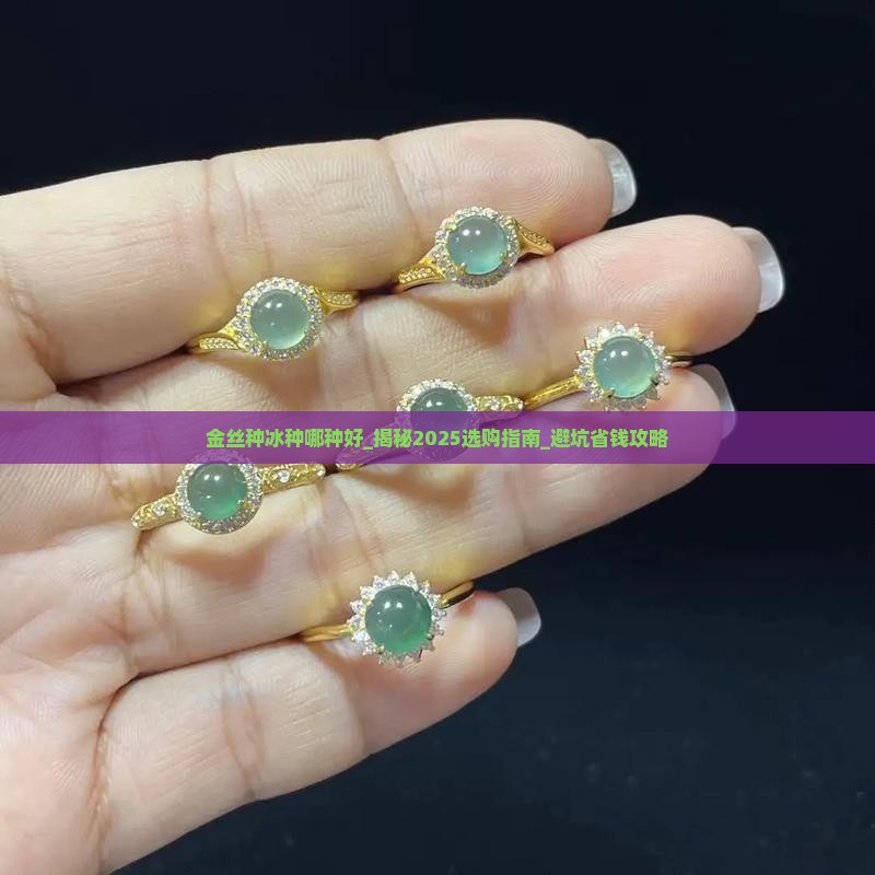 金丝种冰种哪种好