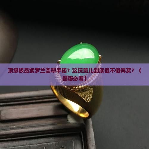 顶级极品紫罗兰翡翠手镯
