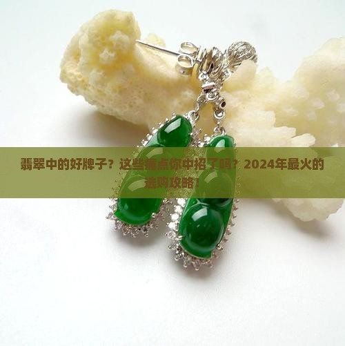 翡翠中的好牌子