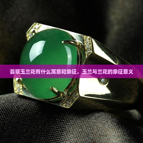 翡翠玉兰花什么寓意和象征