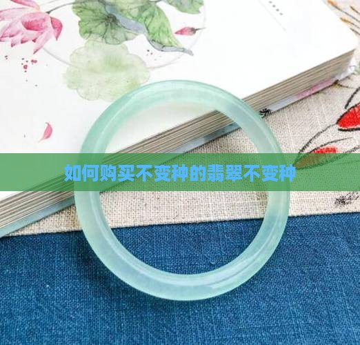 如何购买不变种的翡翠
