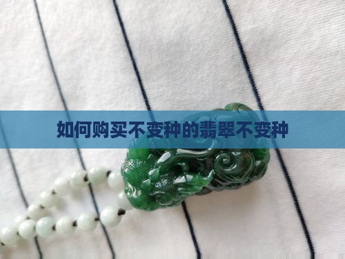如何购买不变种的翡翠