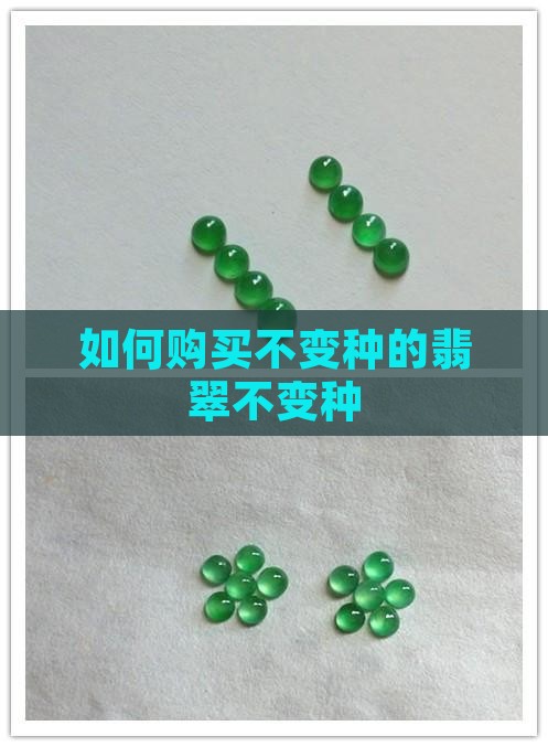 如何购买不变种的翡翠