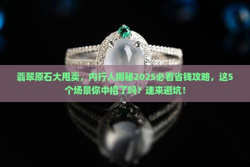 翡翠原石大甩卖