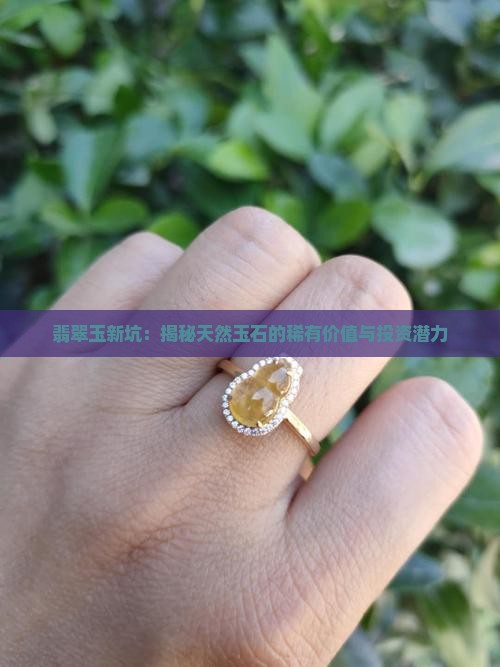 翡翠玉新坑