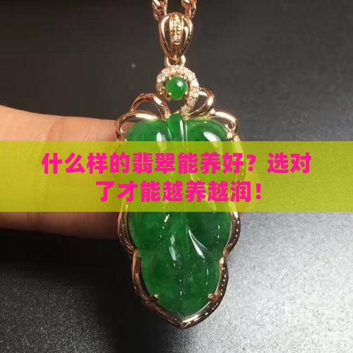 什么样的翡翠能养好