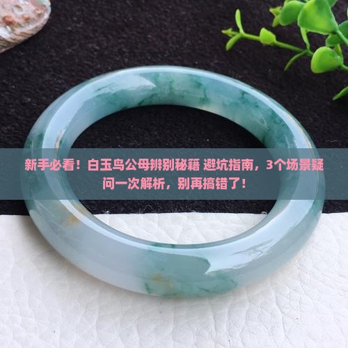 白玉鸟公母辨别