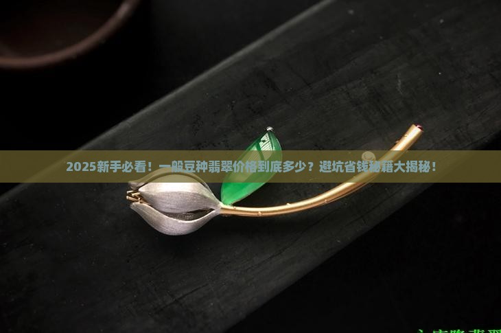 一般豆种翡翠价格