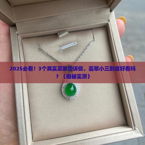 翡翠小三好看吗