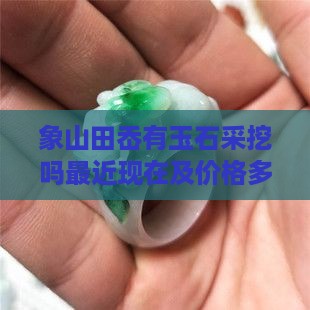 象山田岙有玉石采挖吗