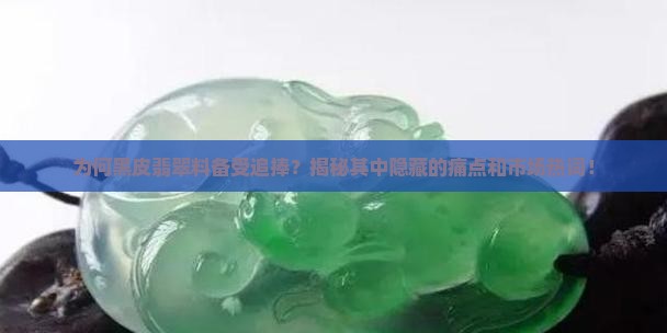 为何黑皮翡翠料备受追捧？揭秘其中隐藏的痛点和市场热词！