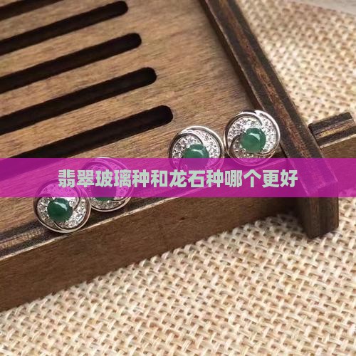 翡翠玻璃种和龙石种哪个更好