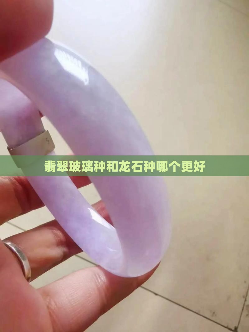 翡翠玻璃种和龙石种哪个更好