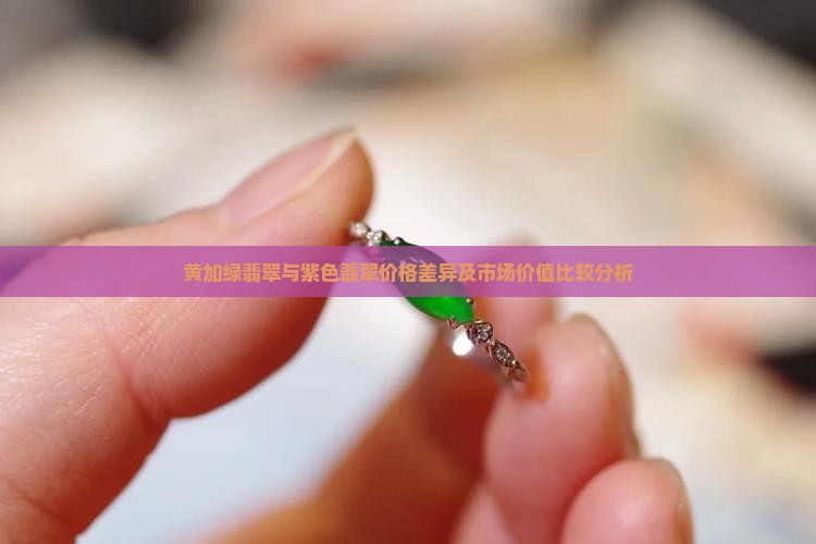 黄加绿翡翠与紫色翡翠价格差异及市场价值比较分析