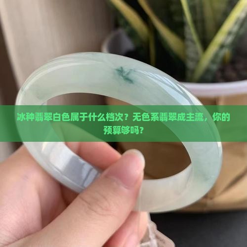 冰种翡翠白色属于什么档次？无色系翡翠成主流，你的预算够吗？