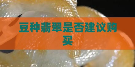 豆种翡翠是否建议购买