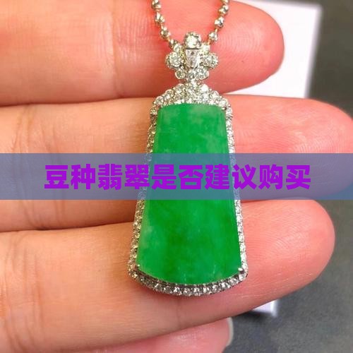 豆种翡翠是否建议购买