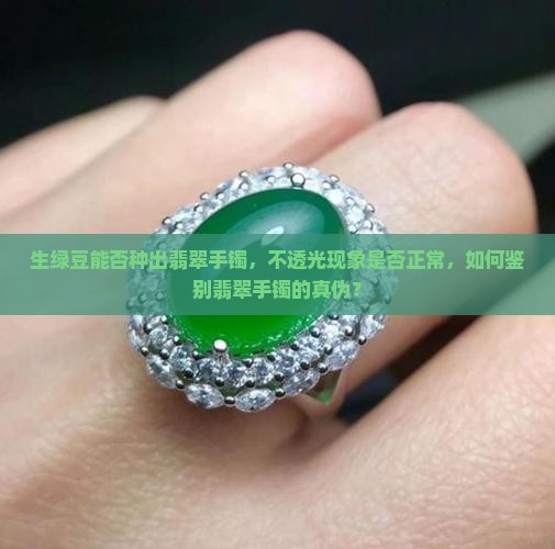生绿豆能否种出翡翠手镯，不透光现象是否正常，如何鉴别翡翠手镯的真伪？