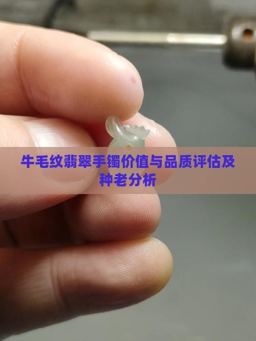 牛毛纹翡翠手镯价值与品质评估及种老分析