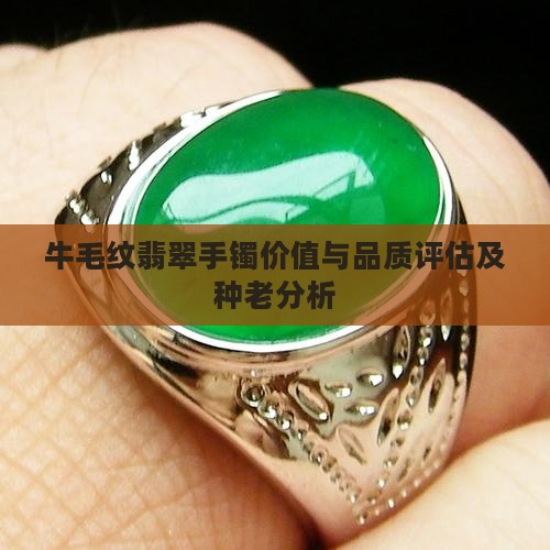 牛毛纹翡翠手镯价值与品质评估及种老分析