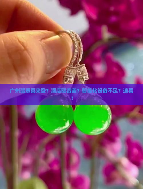 广州翡翠喜来登？酒店隔音差？智能化设备不足？速看！