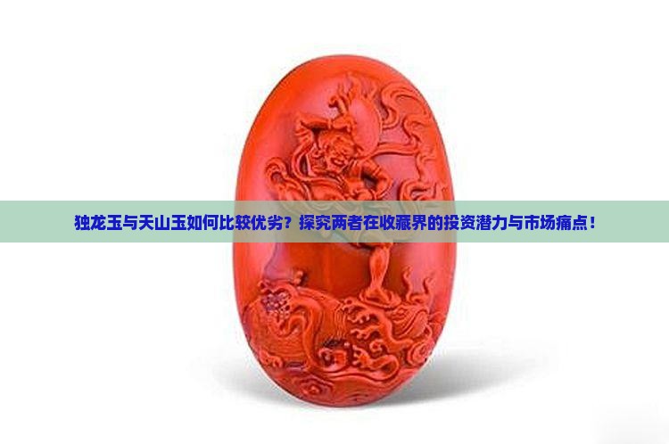 独龙玉与天山玉如何比较优劣？探究两者在收藏界的投资潜力与市场痛点！