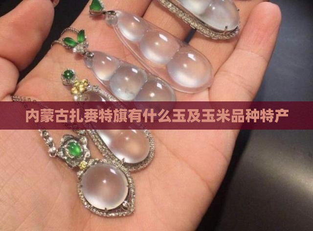 内蒙古扎赉特旗有什么玉及玉米品种特产