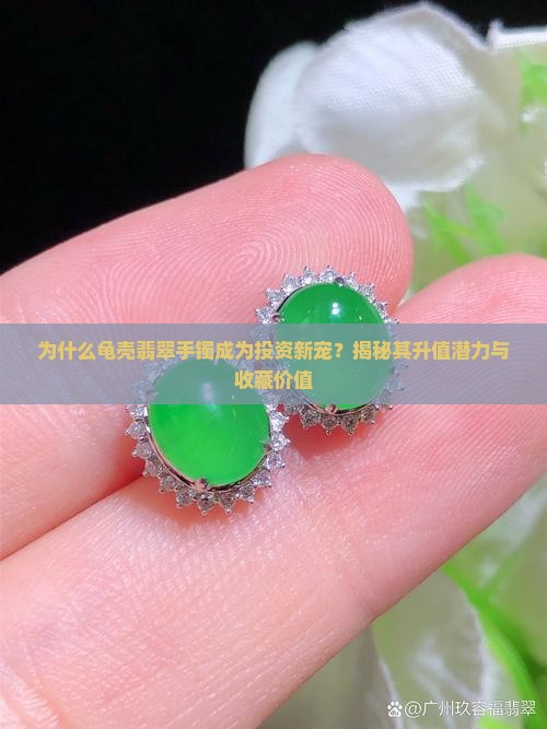 为什么龟壳翡翠手镯成为投资新宠？揭秘其升值潜力与收藏价值