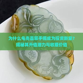 为什么龟壳翡翠手镯成为投资新宠？揭秘其升值潜力与收藏价值