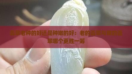 翡翠老种的好还是种嫩的好：老的翡翠与嫩的翡翠哪个更胜一筹