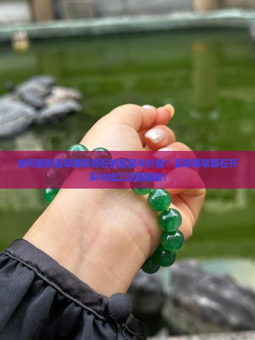 如何鉴别翡翠墨翠原石的质量与价值？翡翠墨翠原石开采与加工过程揭秘！