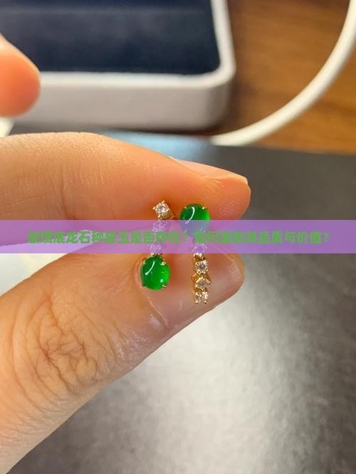 玻璃底龙石种碧玉是否存在？如何鉴别其品质与价值？