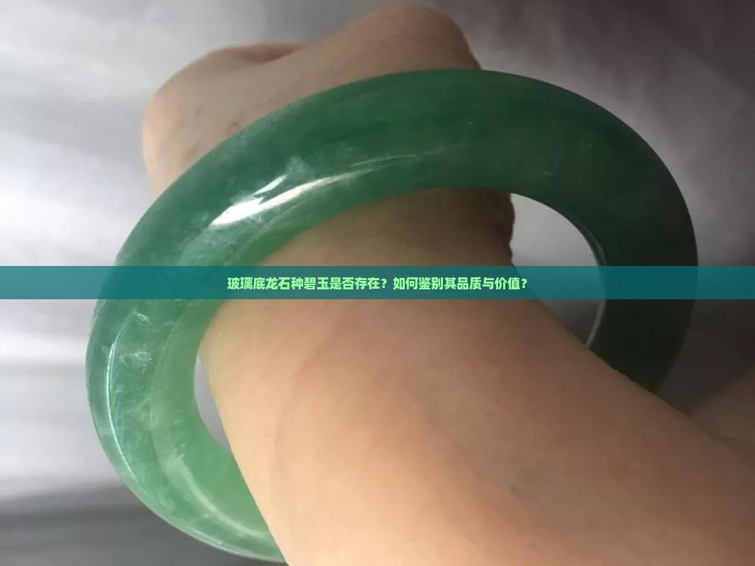玻璃底龙石种碧玉是否存在？如何鉴别其品质与价值？