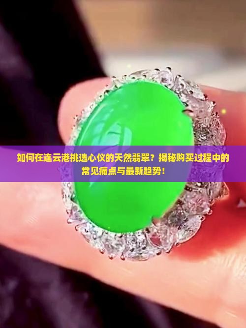 如何在连云港挑选心仪的天然翡翠？揭秘购买过程中的常见痛点与最新趋势！