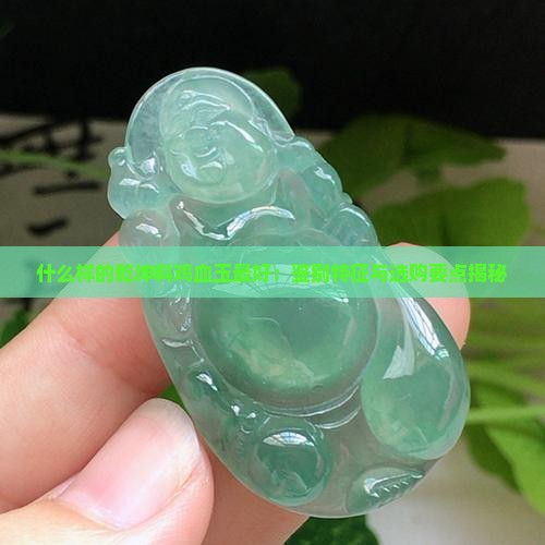 什么样的乾坤料鸡血玉最好：鉴别特征与选购要点揭秘