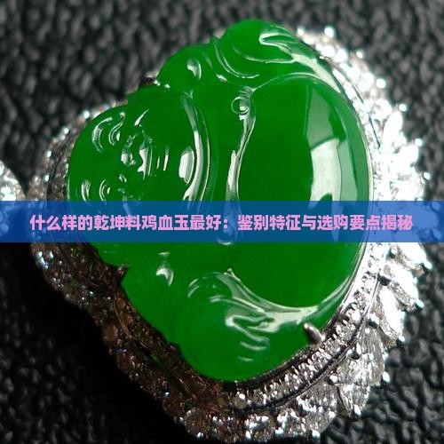 什么样的乾坤料鸡血玉最好：鉴别特征与选购要点揭秘