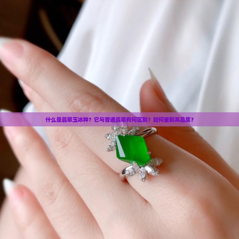 什么是翡翠玉冰种？它与普通翡翠有何区别？如何鉴别其品质？