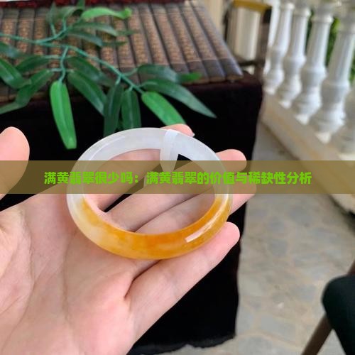 满黄翡翠很少吗：满黄翡翠的价值与稀缺性分析