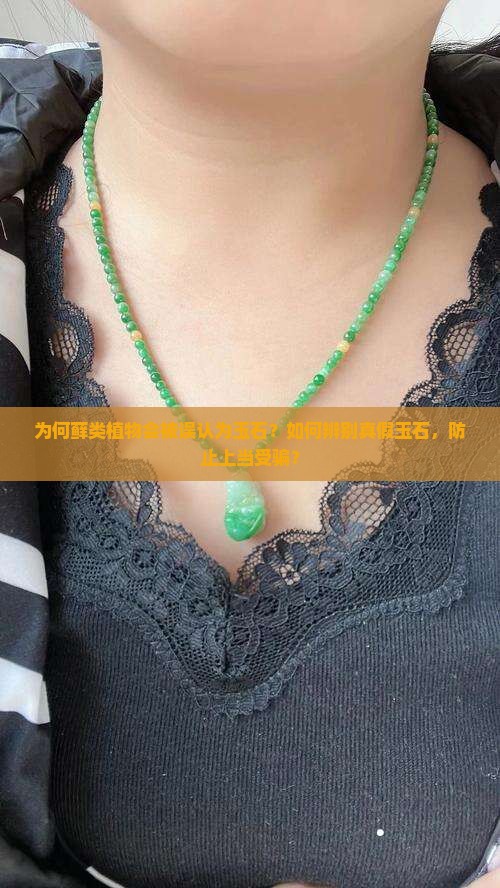 为何藓类植物会被误认为玉石？如何辨别真假玉石，防止上当受骗？