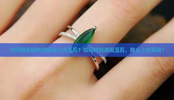 为何藓类植物会被误认为玉石？如何辨别真假玉石，防止上当受骗？
