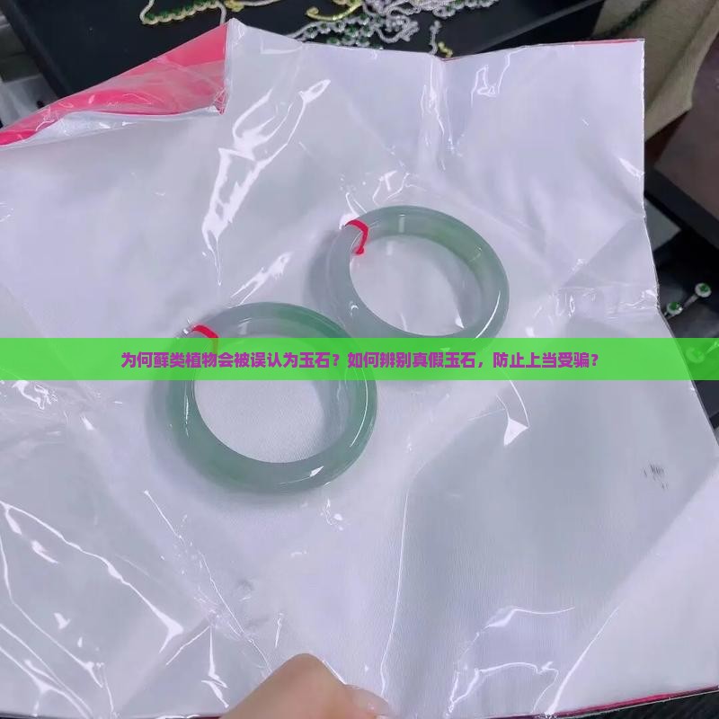 为何藓类植物会被误认为玉石？如何辨别真假玉石，防止上当受骗？