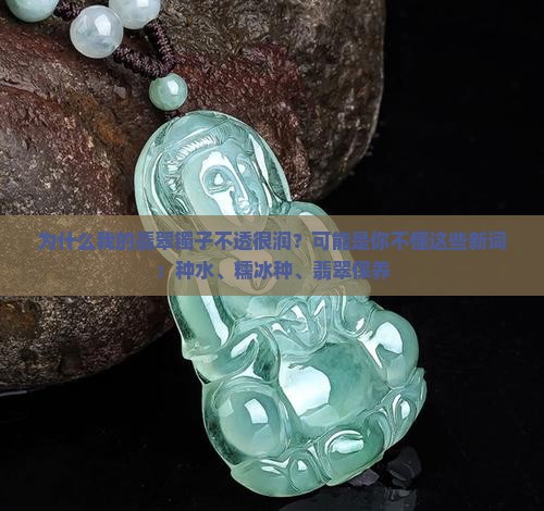 为什么我的翡翠镯子不透很润？可能是你不懂这些新词：种水、糯冰种、翡翠保养