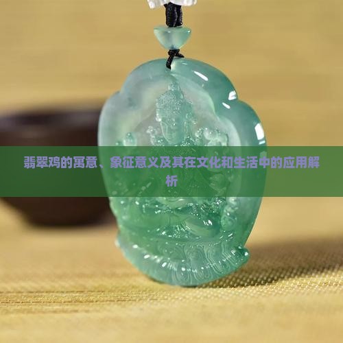 翡翠鸡的寓意、象征意义及其在文化和生活中的应用解析