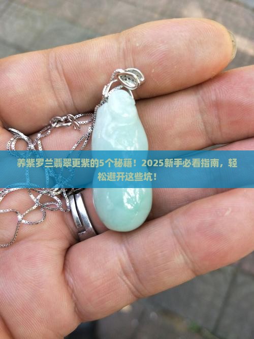 紫罗兰翡翠怎么养的更紫