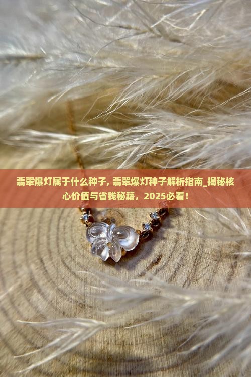翡翠爆灯属于什么种子