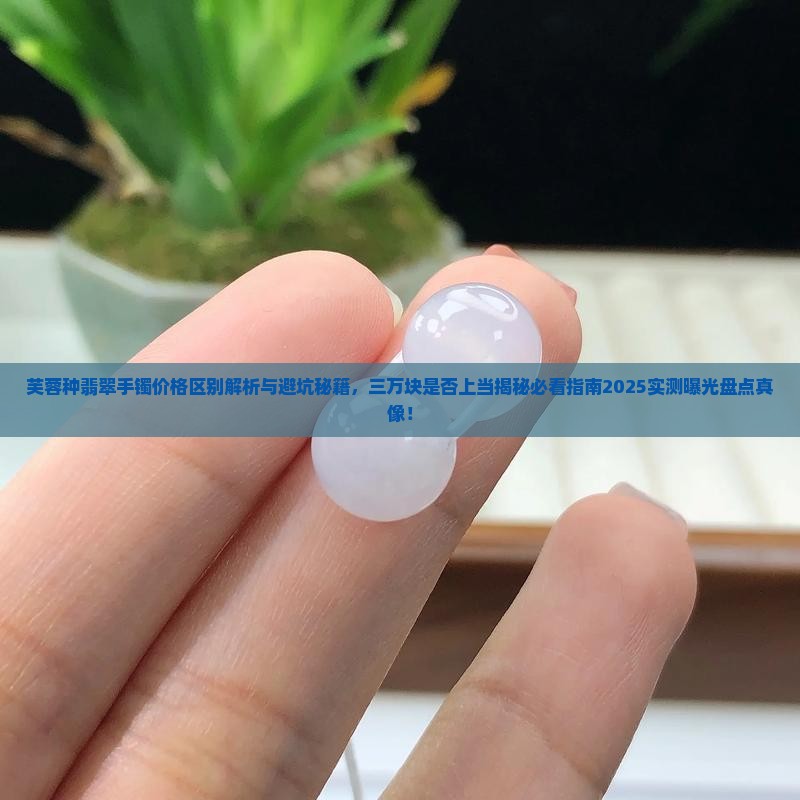 芙蓉种翡翠手镯价格区别