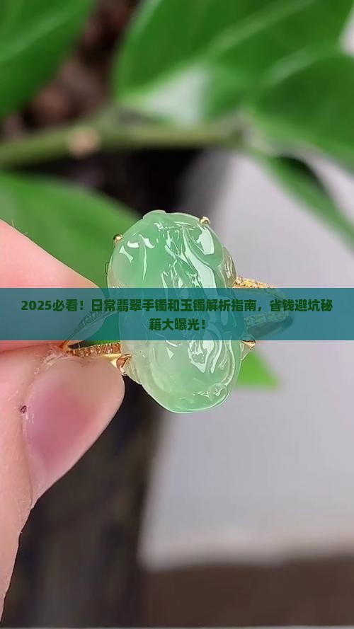 日常翡翠手镯和玉镯
