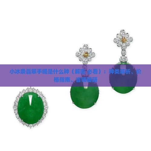 小冰条翡翠手镯是什么种