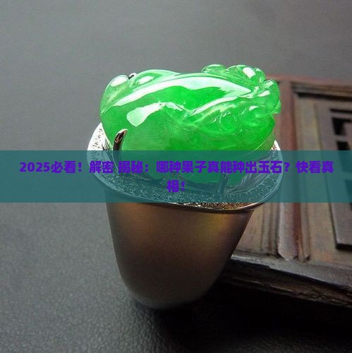 什么果子才能做出来玉石